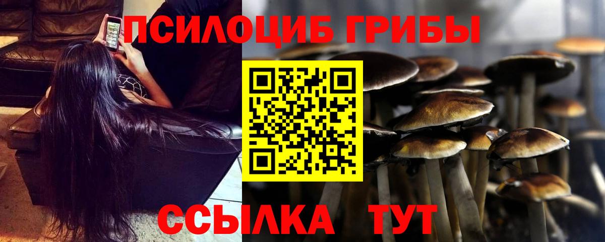 Галлюциногенные грибы MAGIC MUSHROOMS  Вход с VPN  Благовещенск 